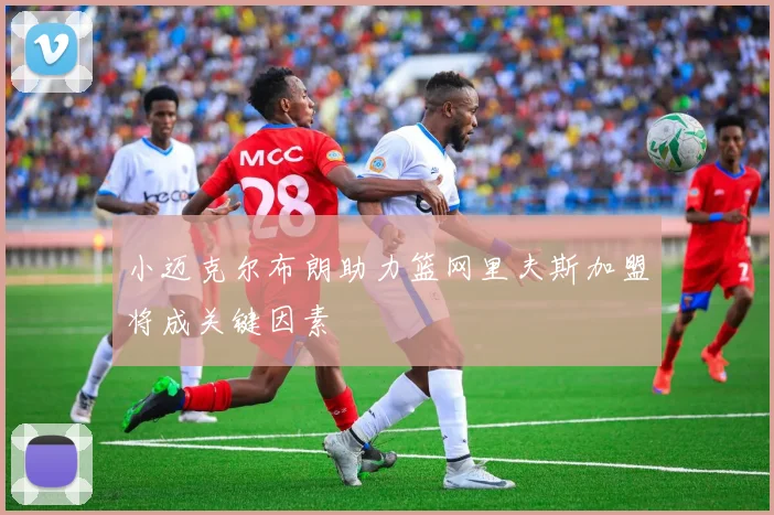 小迈克尔布朗助力篮网里夫斯加盟将成关键因素